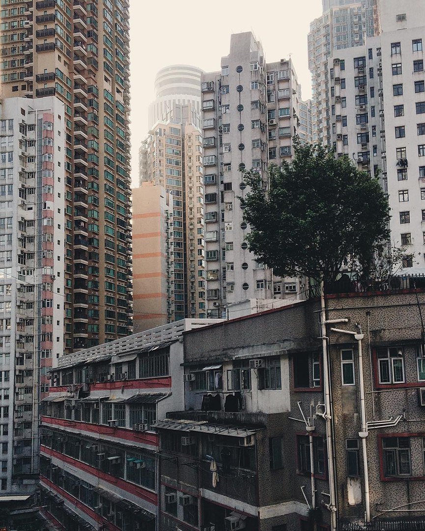 Hong Kong, China by Nadezhda Kozyreva