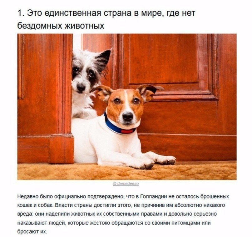 7 доказательств, что Голландия — это страна будущего. - 5