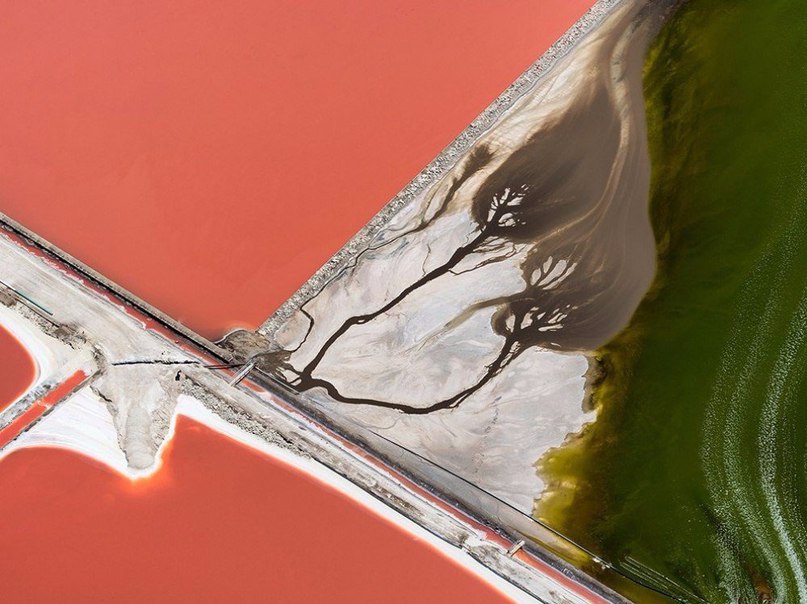 10 фотографий без фотошопа, где реальность граничит с иллюзией - 9