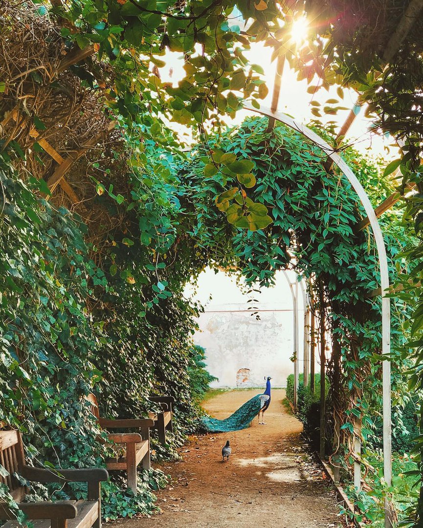 Prague, Czech Republic - 7