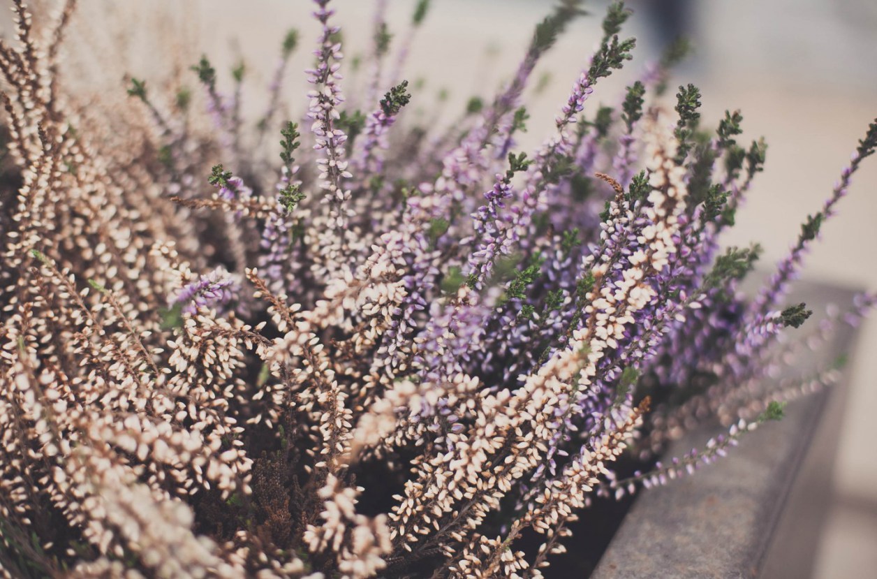 Tallinn, Estonia - 7