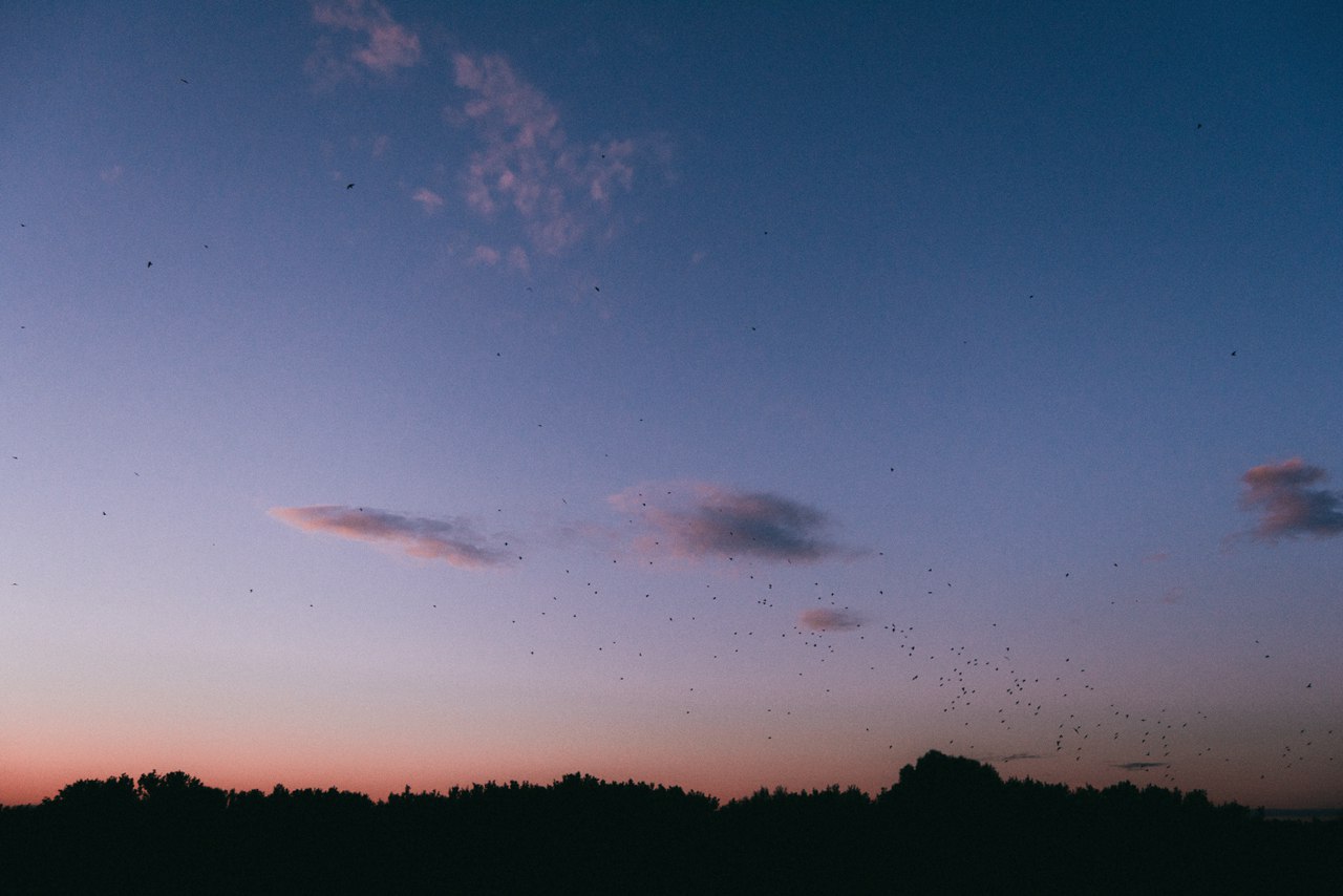 Река Днепр, Беларусь - 6