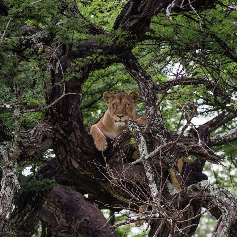 Найроби, Кения - 8