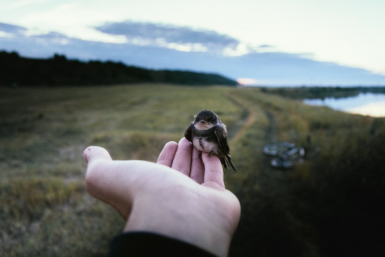 Река Днепр, Беларусь - 7