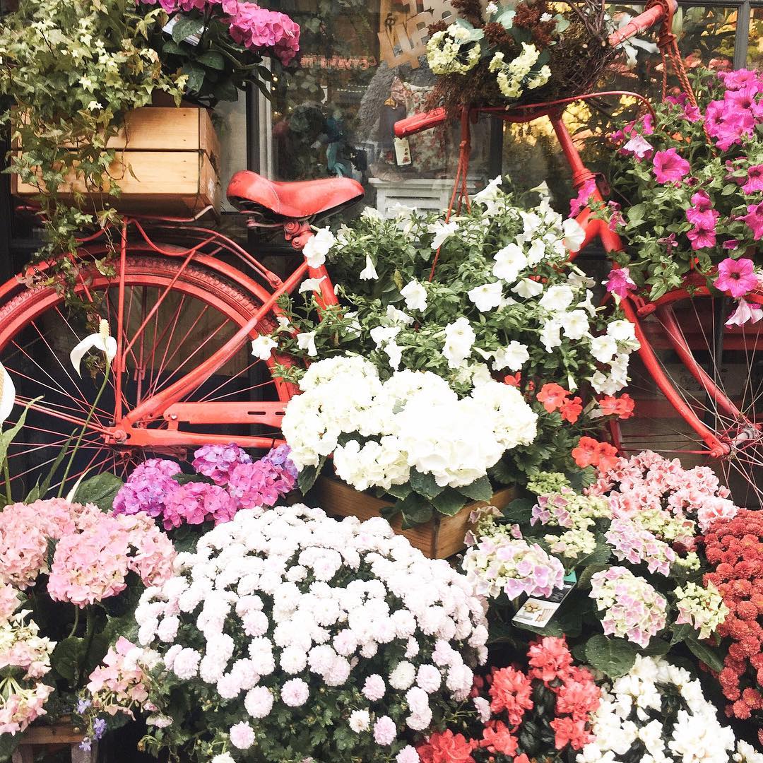 Санкт-Петербург - 7