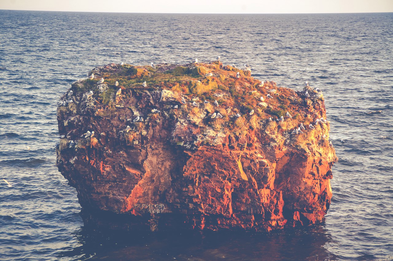 А поехали с нами на джипах по Кольскому полуострову? - 9