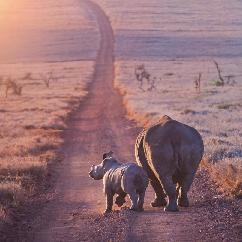 Найроби, Кения - 9