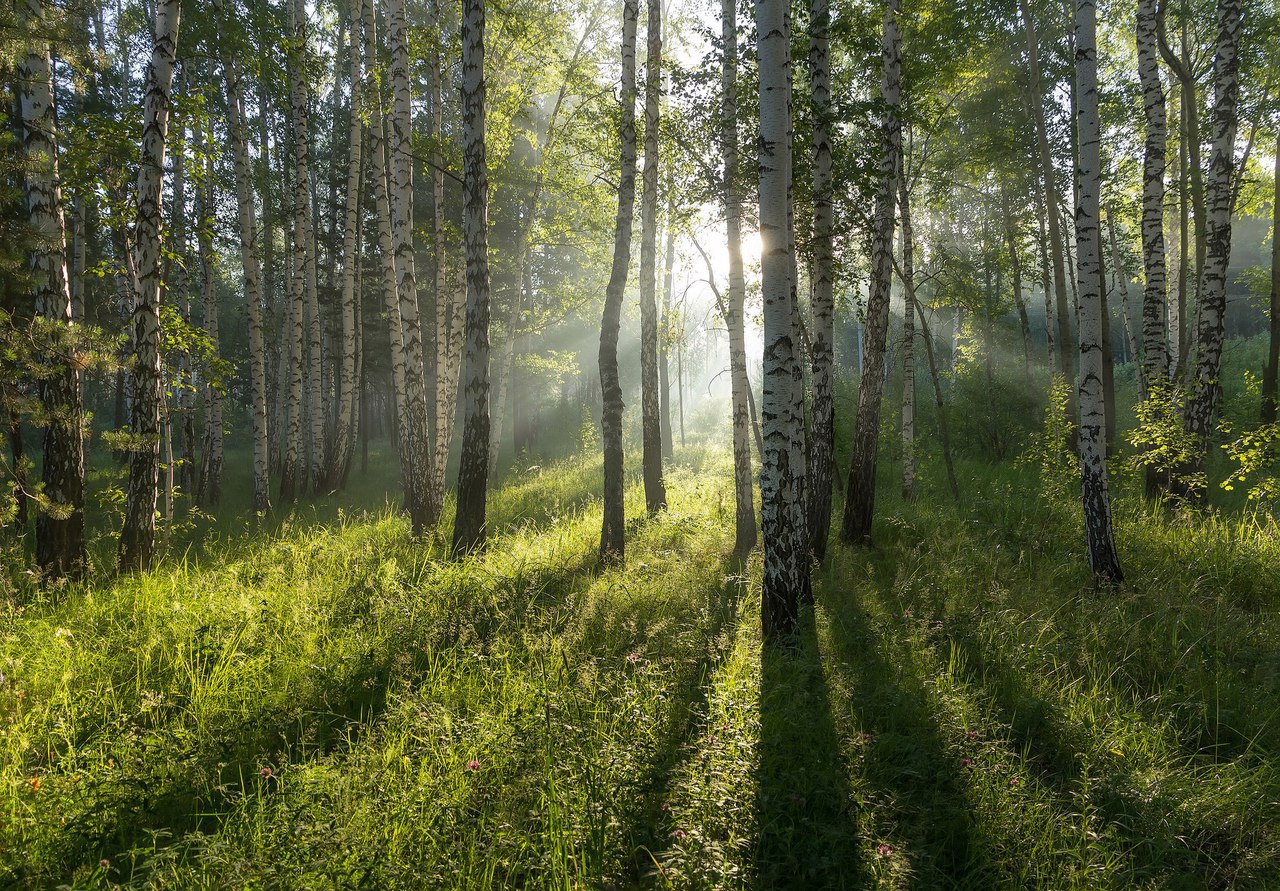 Деревенские пейзажи - 6