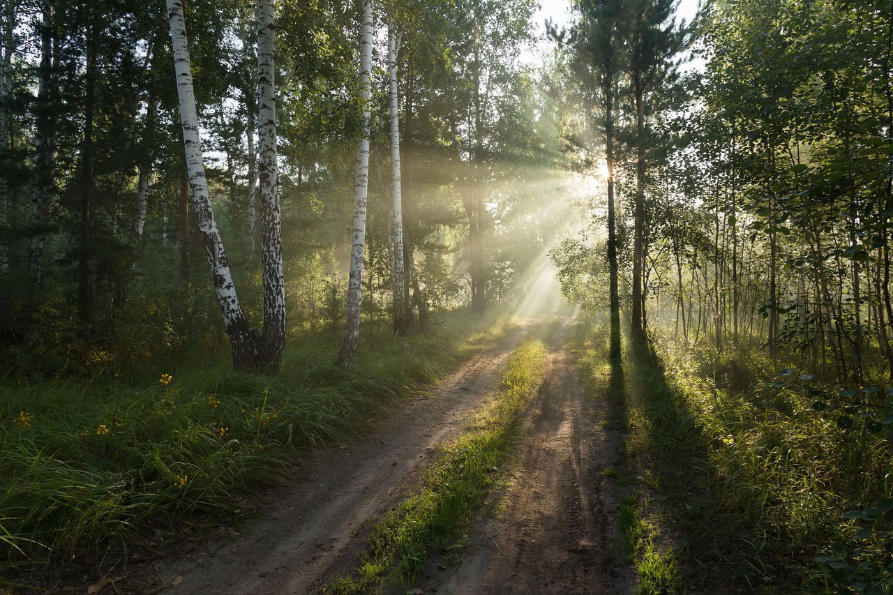 Деревенские пейзажи - 7