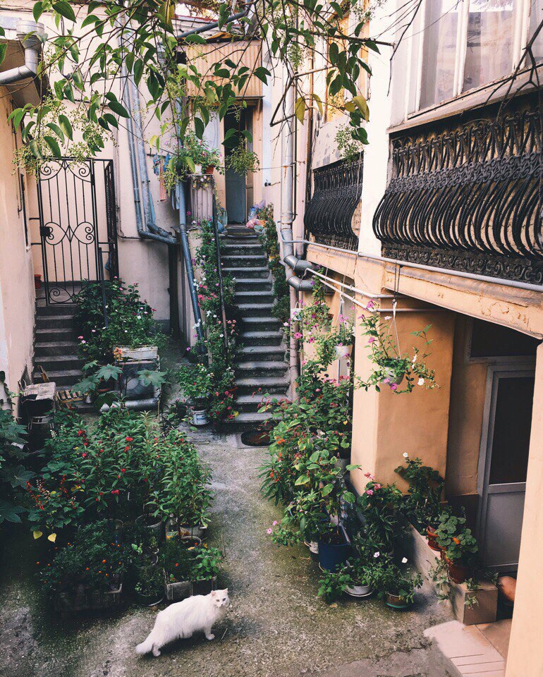 Ялта, Крым - 5