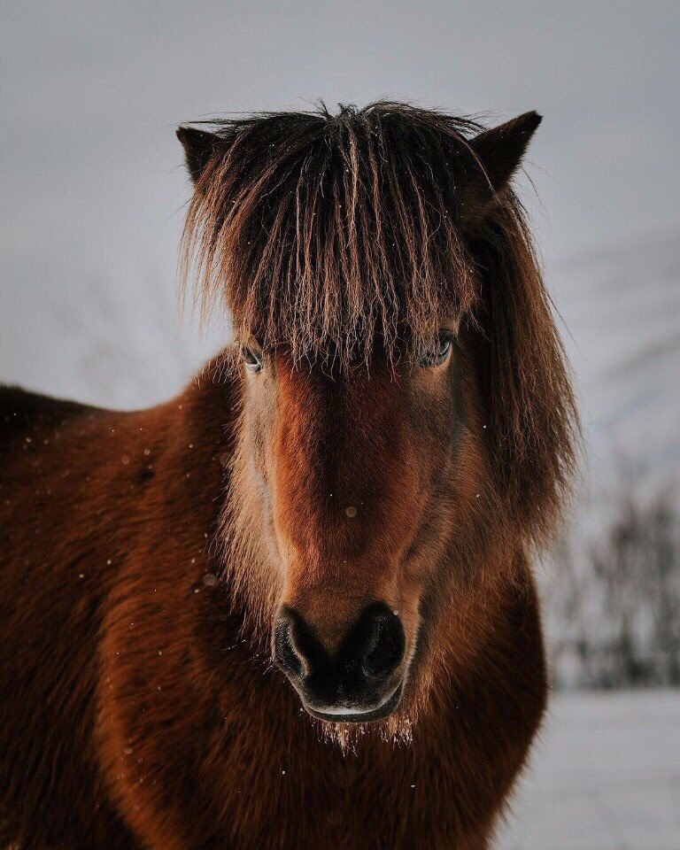 Исландия — будто страна из параллельной Вселенной - 6