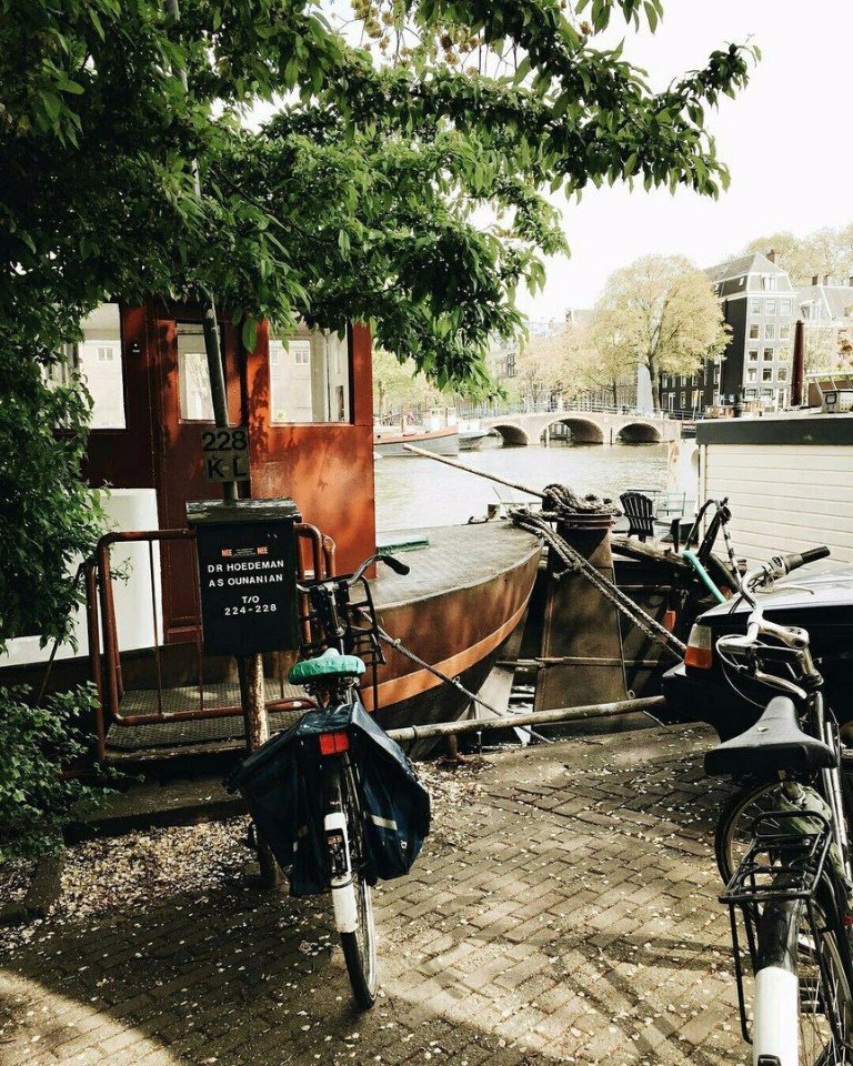 Лето в Амстердаме прекрасно! - 8