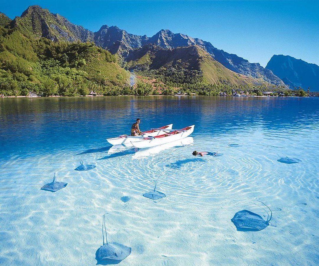 Природа Шри-Ланки