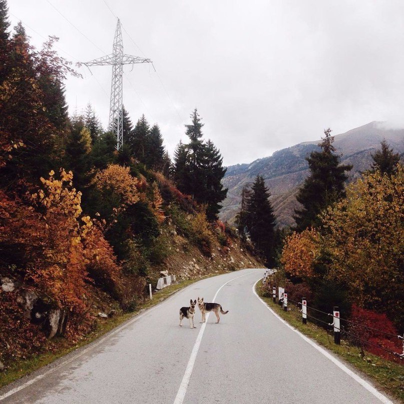 Грузия восхитительна!