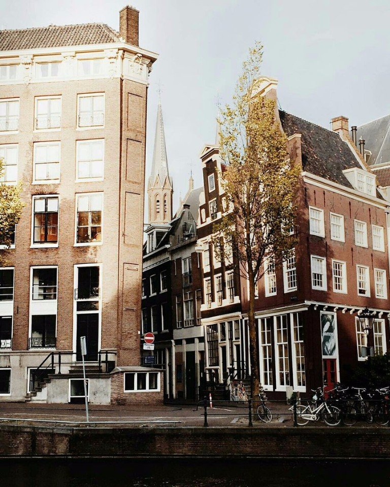 Лето в Амстердаме прекрасно! - 6