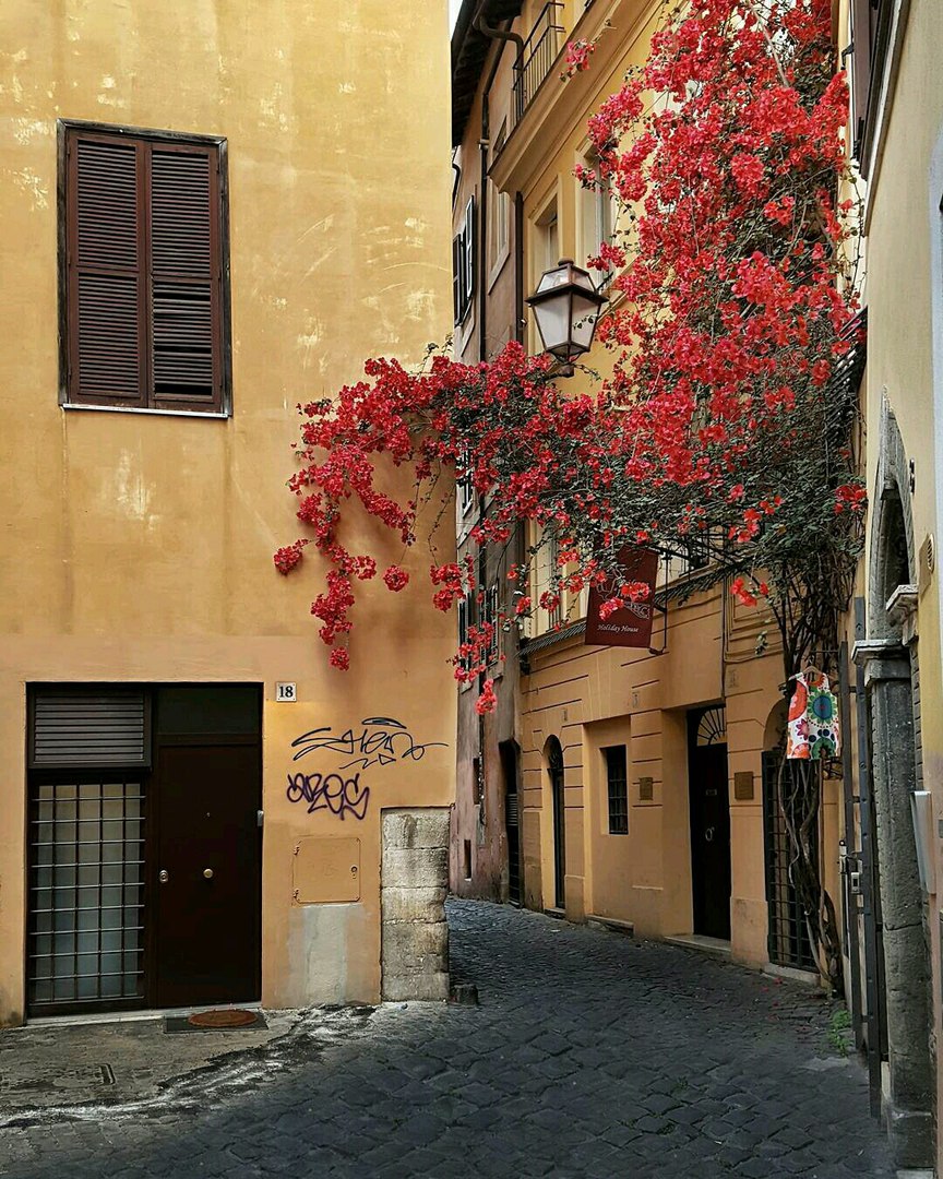 Rome, Italy - 5