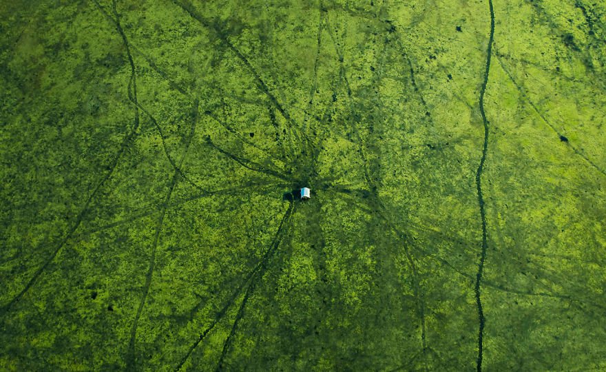 Бангладеш - 6