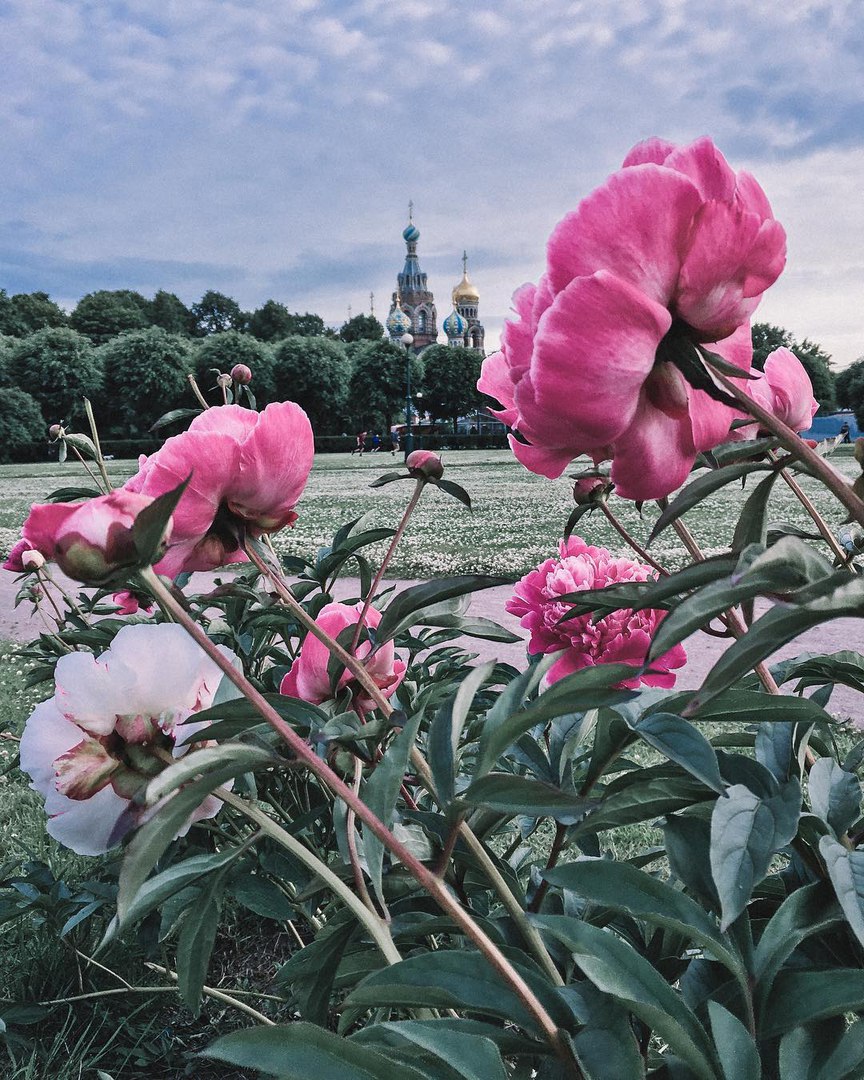 Санкт-Петербург