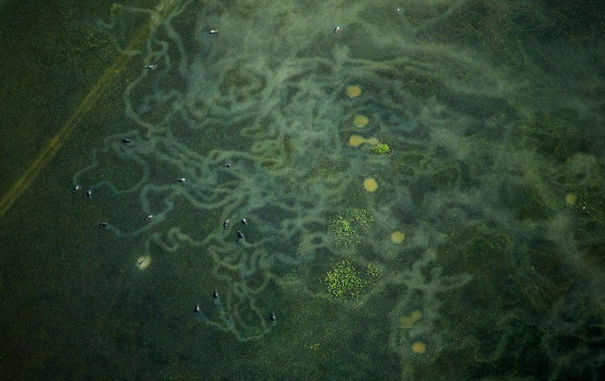 Бангладеш - 8