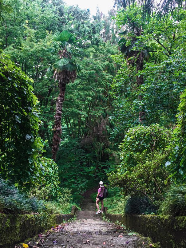 Величественная красота Грузии - 7