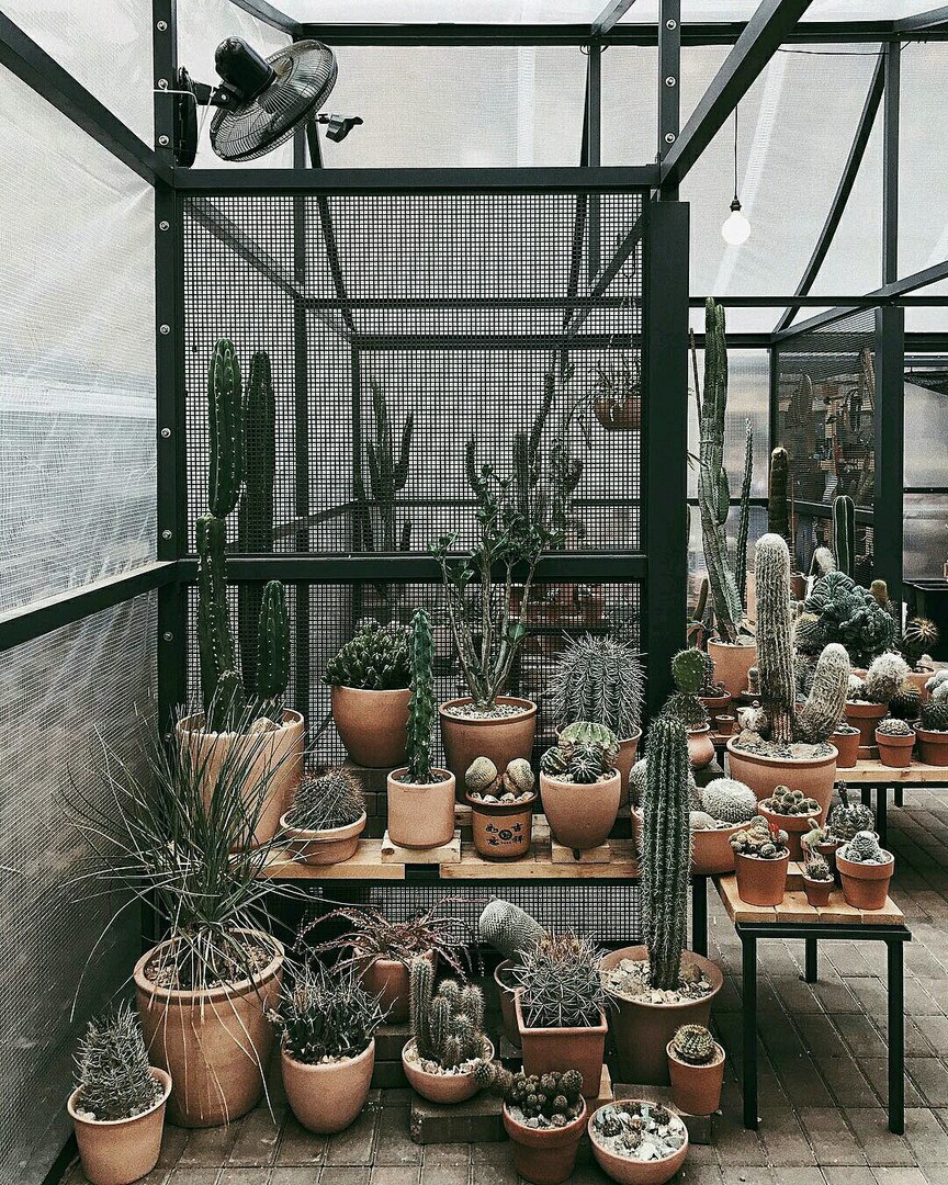 Нью-Йорк, США - 7