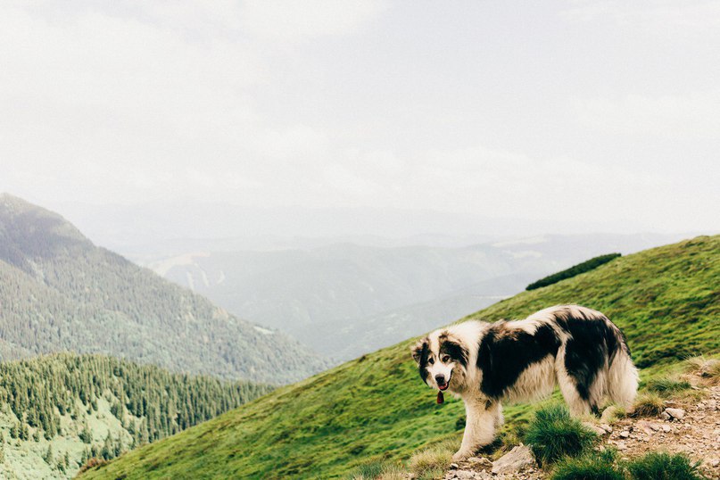Carpathians, Ukraine - 8