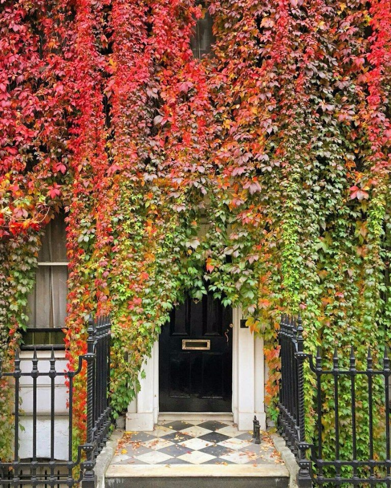 Сейчас бы в Лондон... - 5