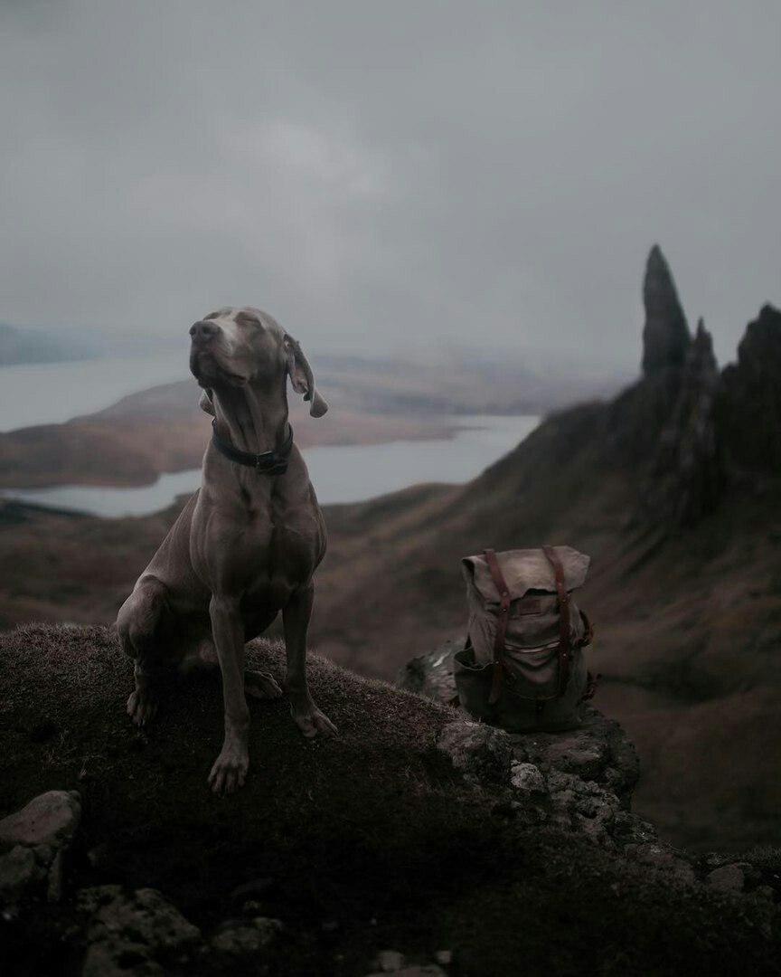 The Magic of Gloomy Scotland. - 9