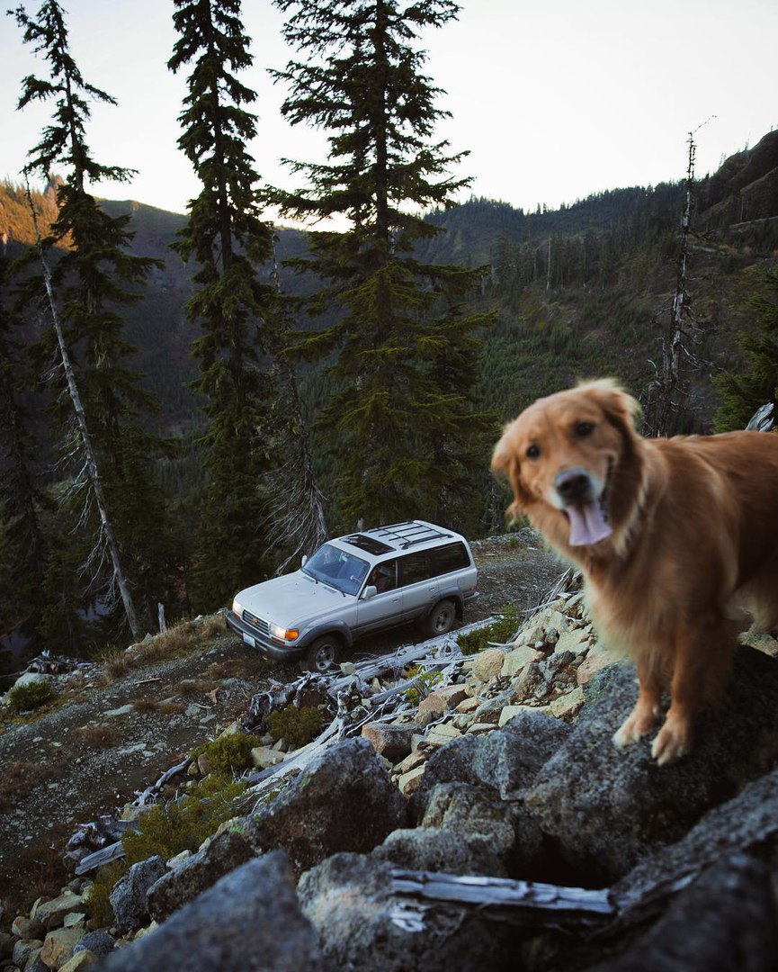 North Cascades National Park - 9