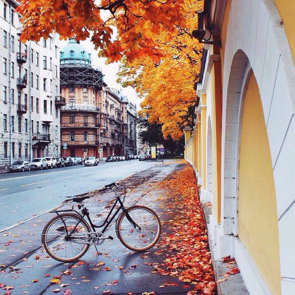 Санкт-Петербург - 8