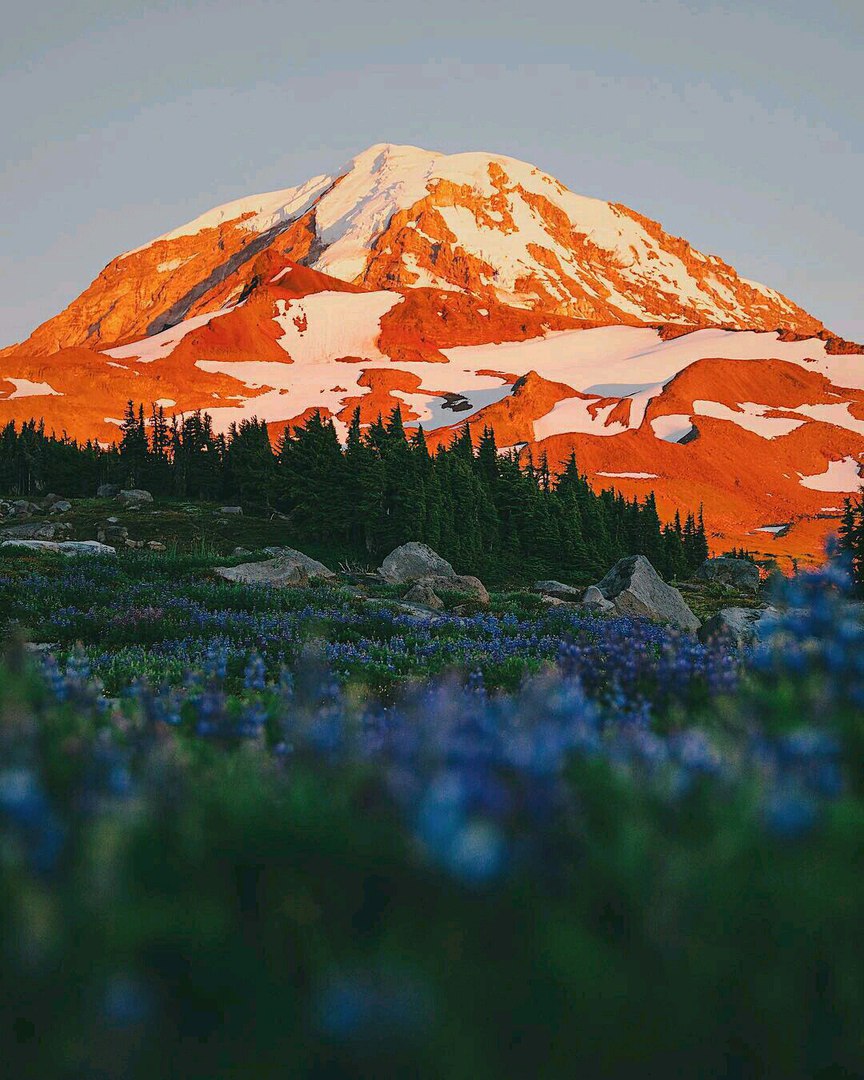 Вашингтон, США