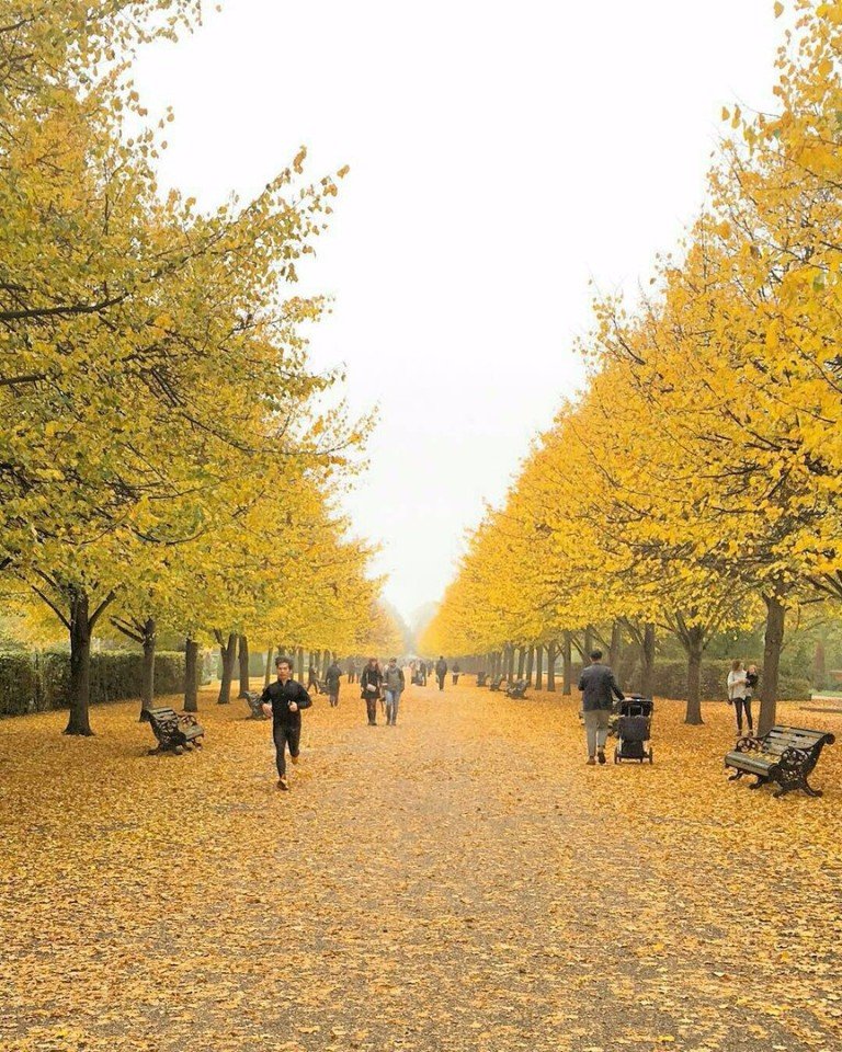 Сейчас бы в Лондон... - 7