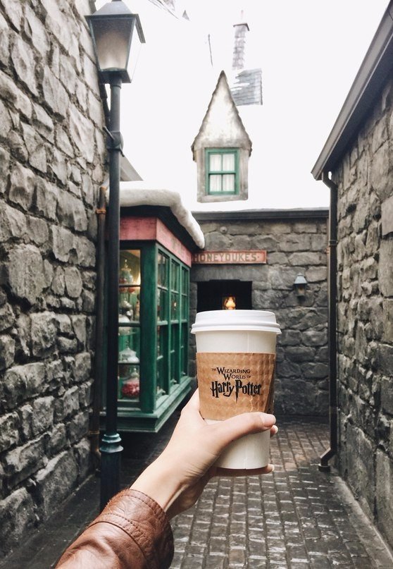 Волшебный Мир Гарри Поттера, Орландо, Флорида - 5