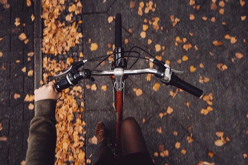 Осень - последняя, самая восхитительная улыбка года.