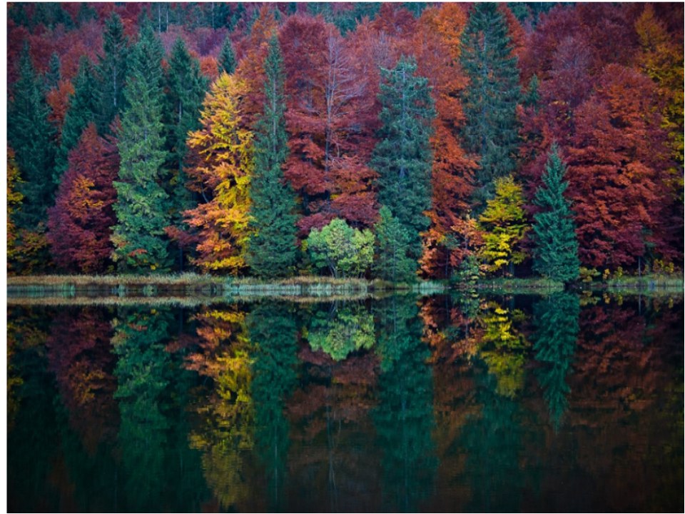 Осенний лес на одном из озер Аляски, США