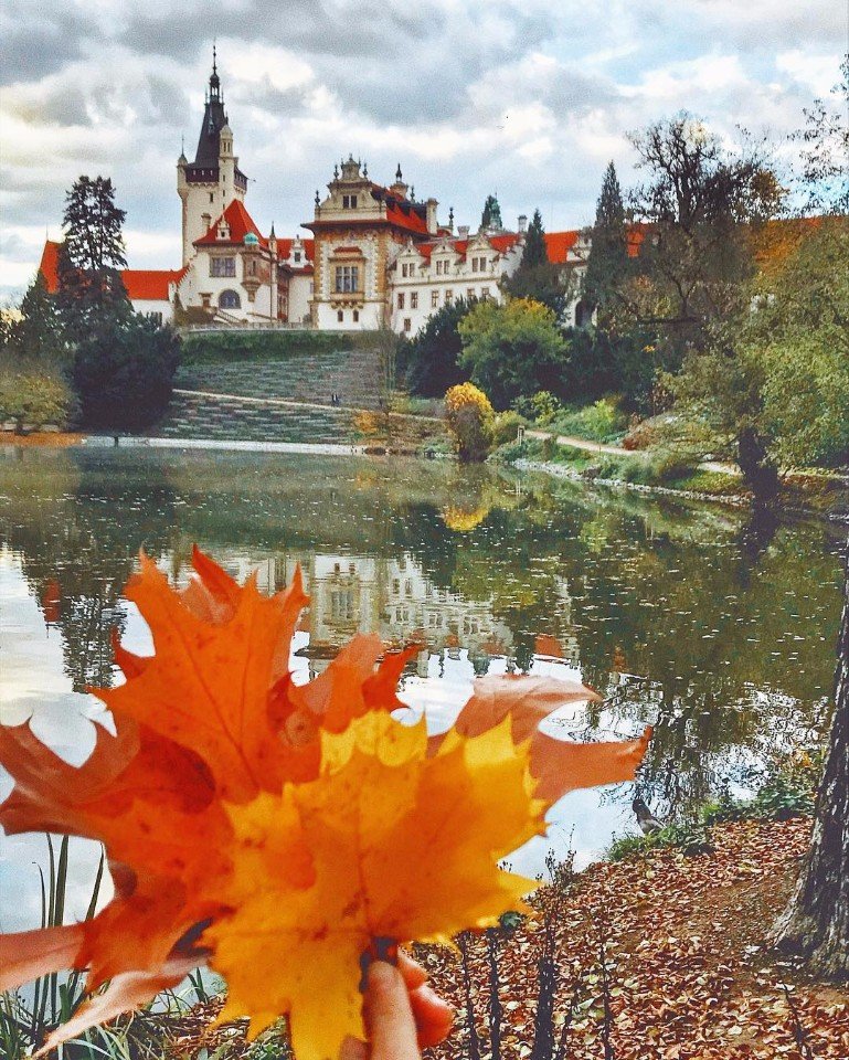 Если и любить осень, то нужно делать это в Праге - 7