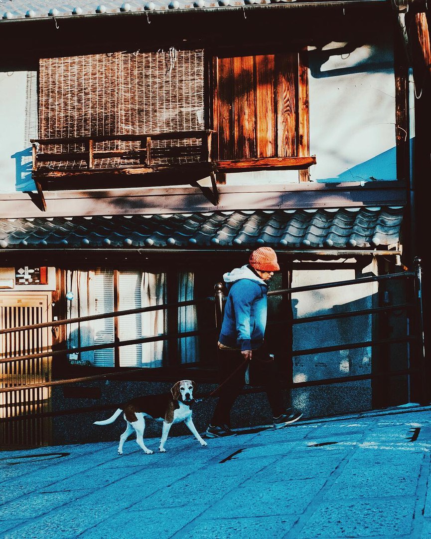 Снег в Японии - 7