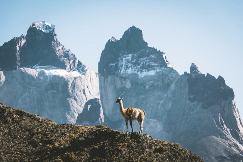 Магическая Патагония, Аргентина - 6