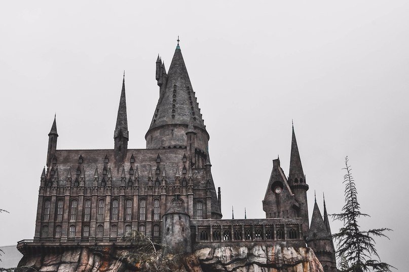 Волшебный Мир Гарри Поттера, Орландо, Флорида - 5