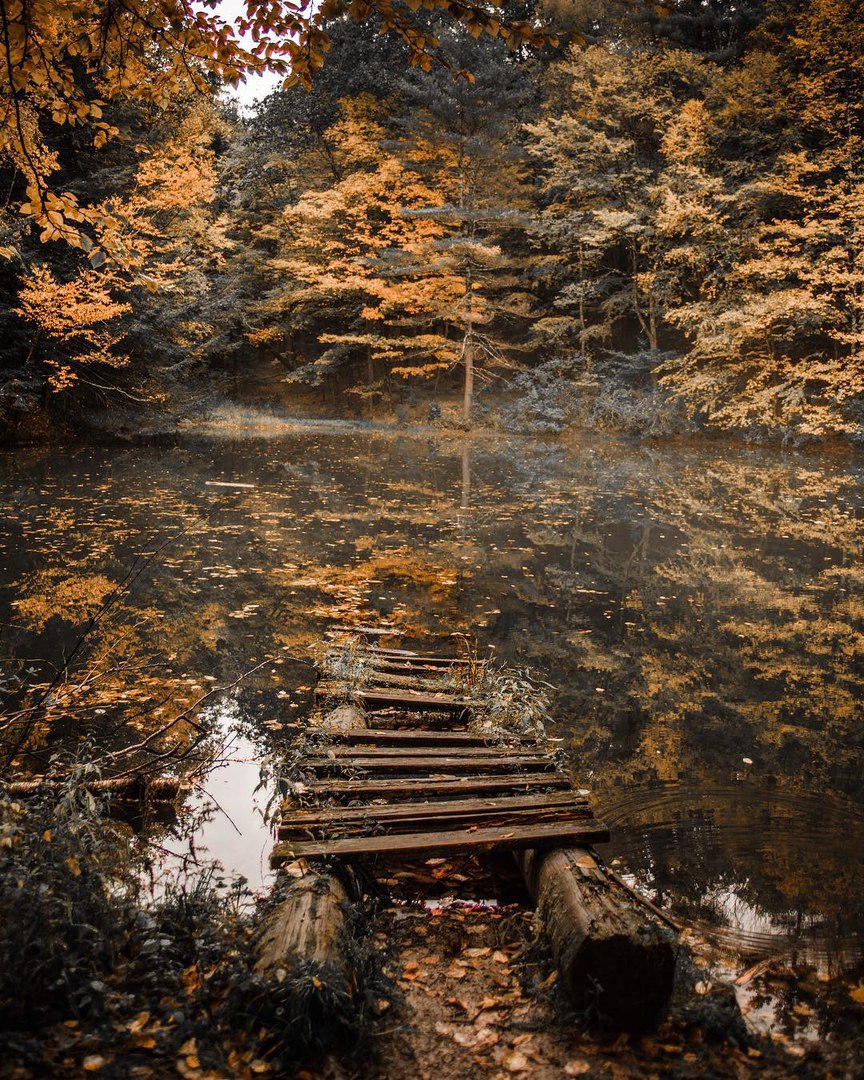 Осенний Массачусетс, США - 8