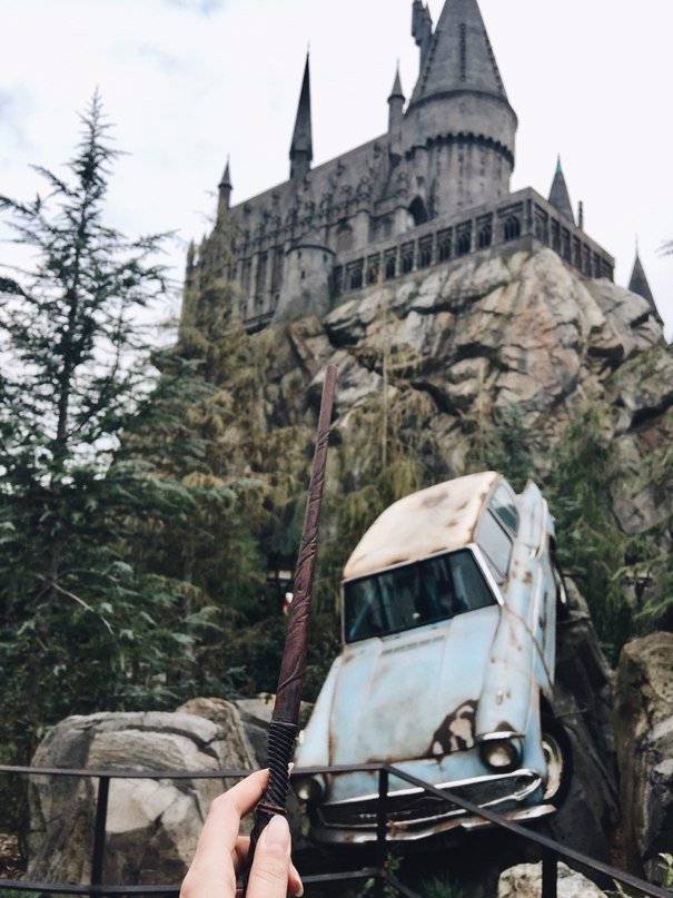 Волшебный Мир Гарри Поттера, Орландо, Флорида - 6