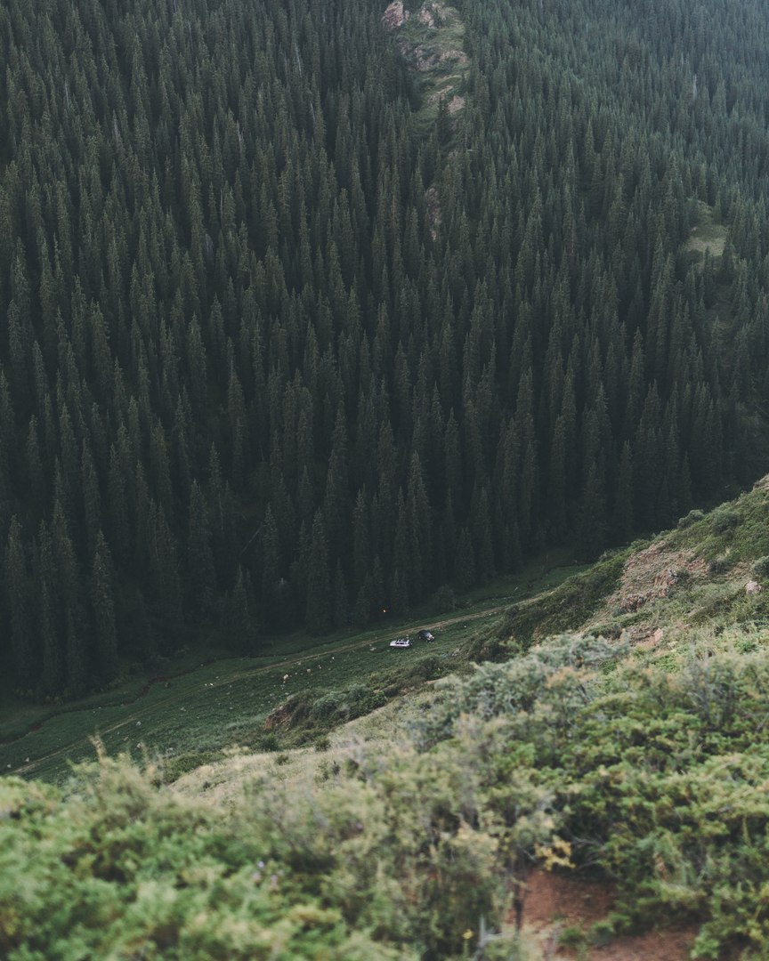 Казахстан, Алматинская область