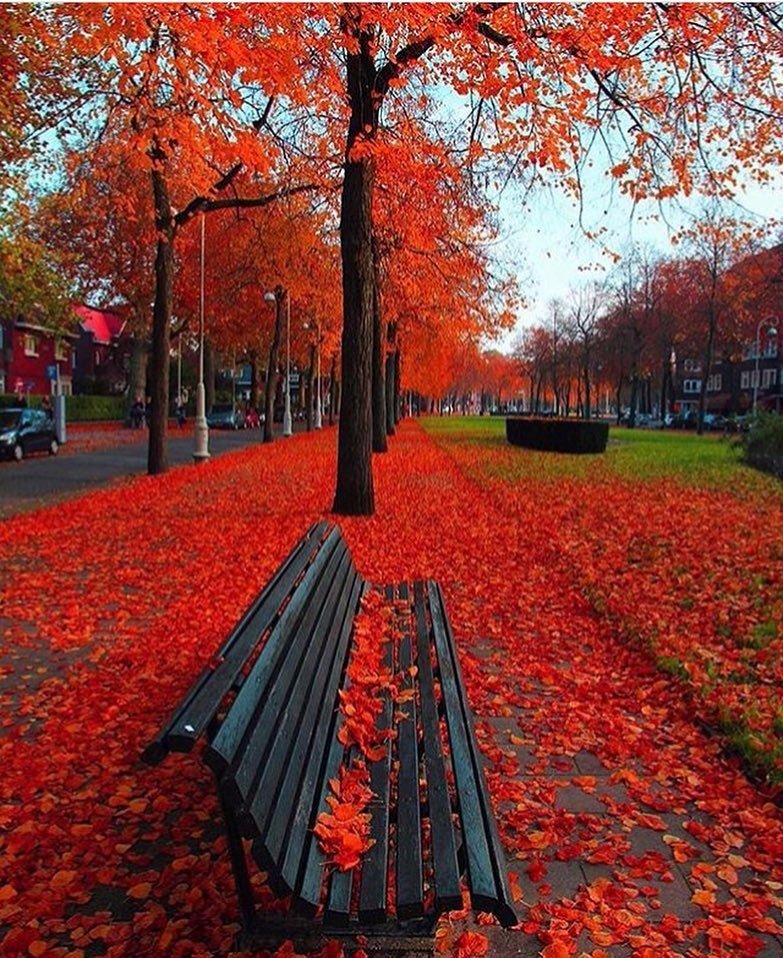 Осень в Амстердаме