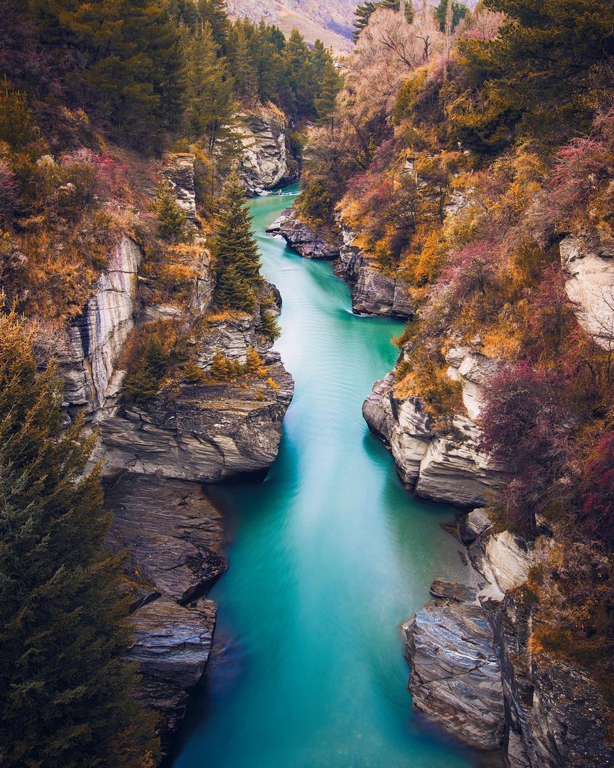 Новая Зеландия