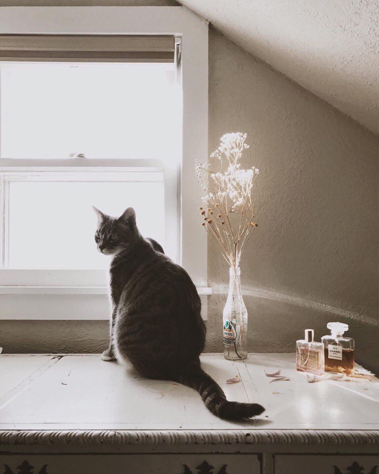 Photos by Helena Moore