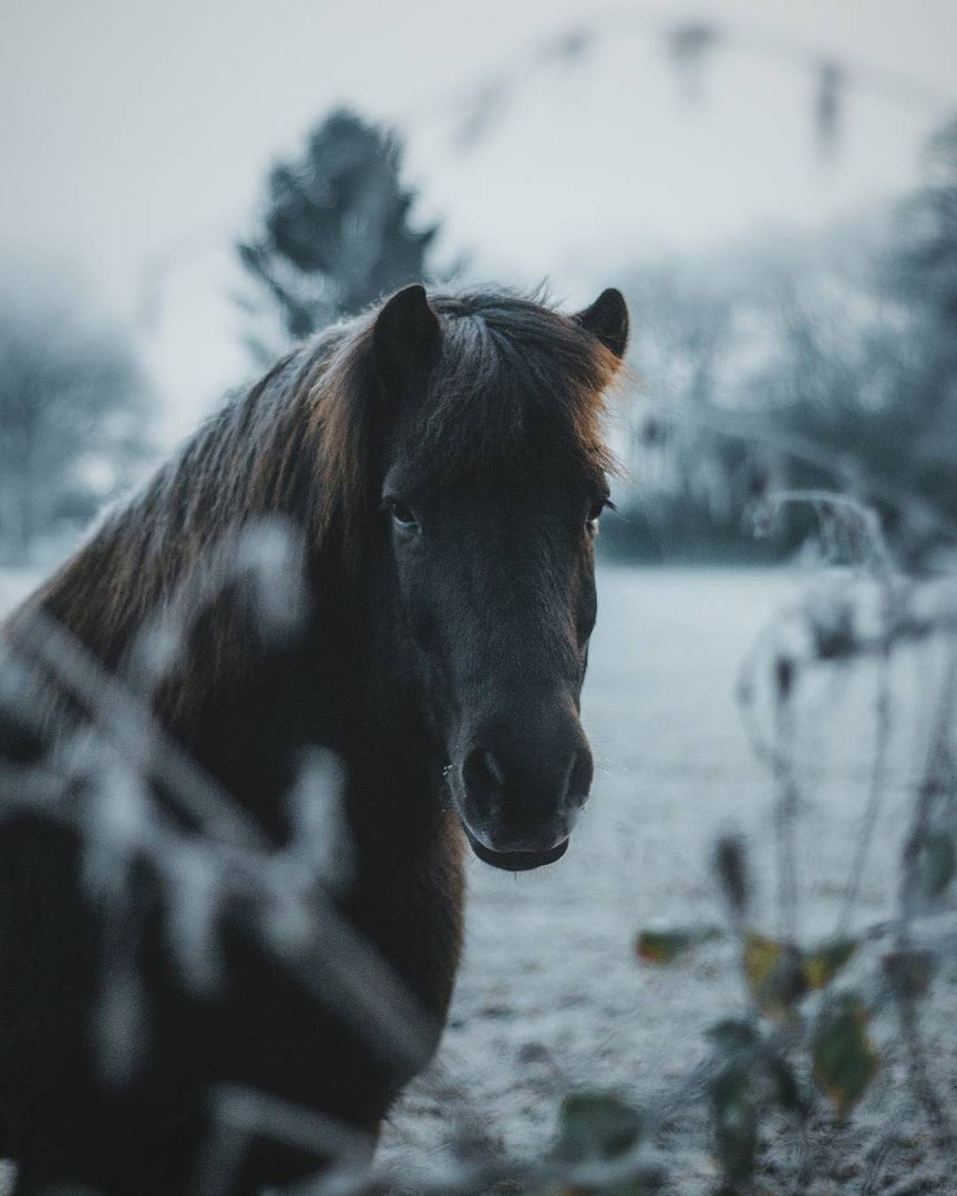 Германия - 6