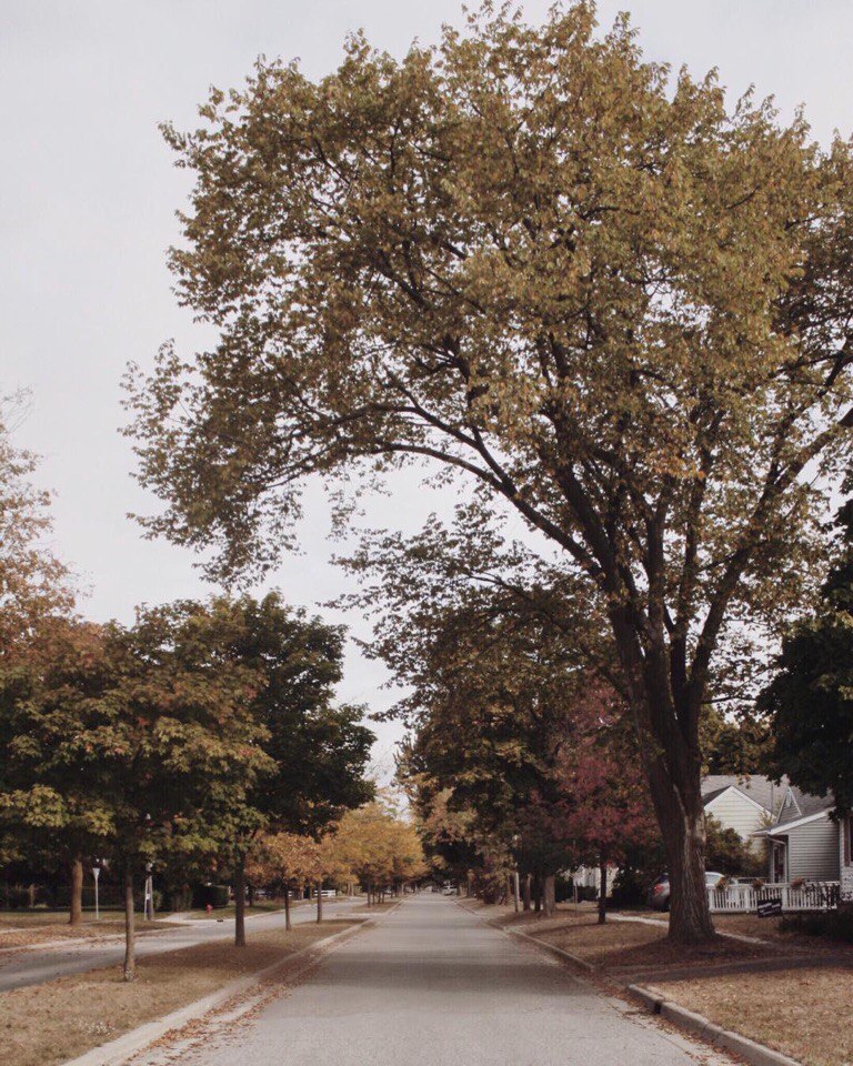 Photos by Helena Moore - 5