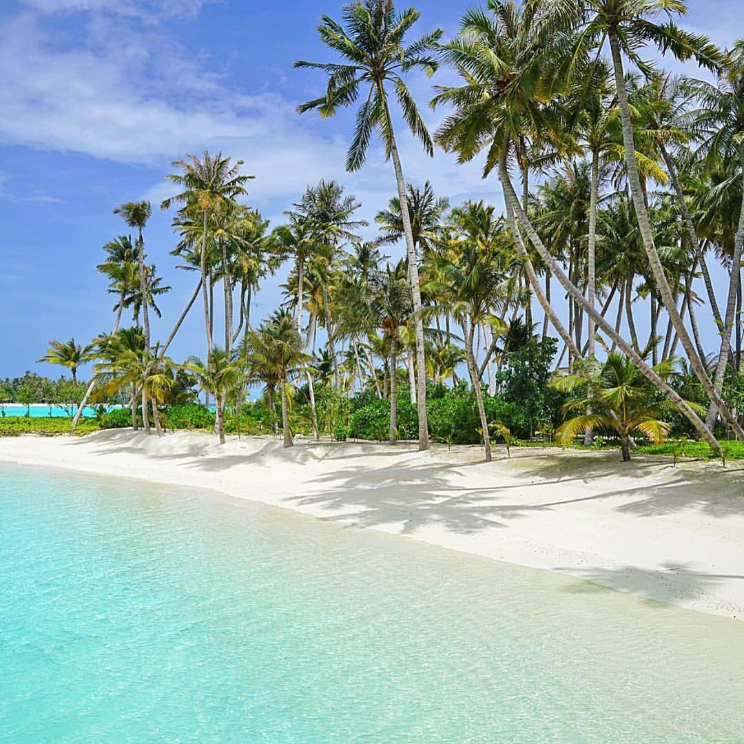 Греемся теплыми фоточками с Мальдив - 5