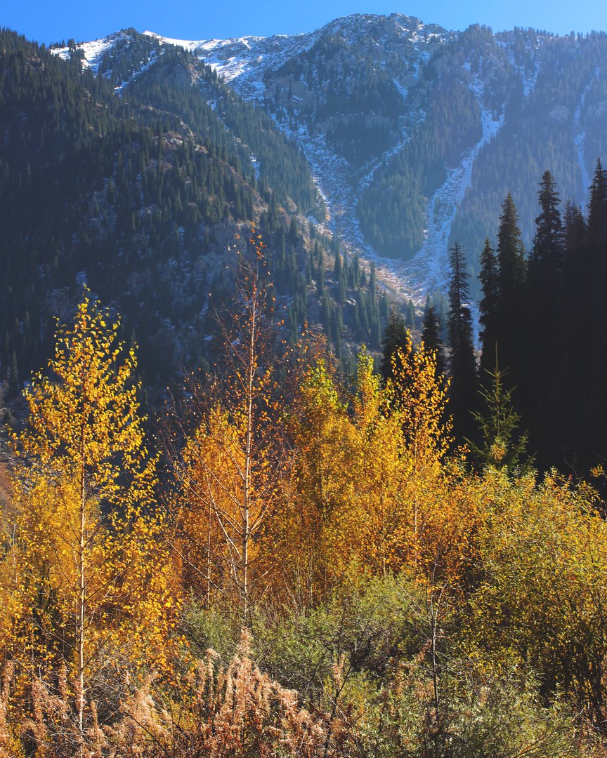 Озеро Иссык, Казахстан - 5