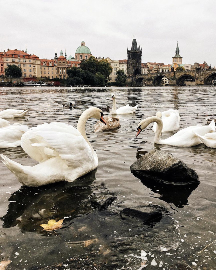 Prague, Czech Republic - 5